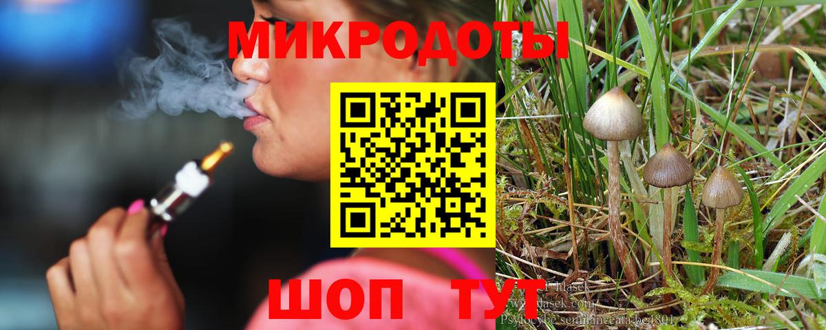 Псилоцибиновые грибы прущие грибы  где купить наркоту  Галлюциногенные грибы мицелий  Губаха  Вход с VPN 